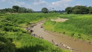 Leia mais sobre o artigo Seca afeta navegação no Rio Madeira e preocupa moradores do Sul do Amazonas