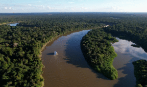 Leia mais sobre o artigo Extrativismo sustentável na Amazônia é tema do Caminhos da Reportagem