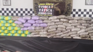 Leia mais sobre o artigo Carregamento de drogas é encontrado dentro de pneus de caminhão na Avenida das Torres, em Manaus
