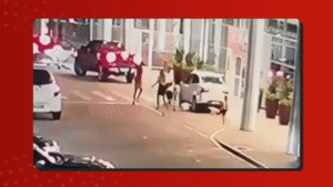 Leia mais sobre o artigo Executado em shopping de Manaus foi expulso de facção criminosa no AM e era ‘jurado de morte’, diz Polícia Civil