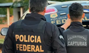 Leia mais sobre o artigo Operação da PF em Guarulhos impede tráfico de animais silvestres