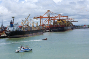 Leia mais sobre o artigo Novo parque de inovação vira “berçário” de tecnologia em Pernambuco
