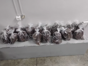 Leia mais sobre o artigo Polícia apreende cocaína negra em mansão na Zona Oeste de Manaus