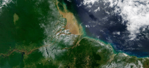 Leia mais sobre o artigo ONGs acionam Justiça para anular licença de petróleo na Foz do Rio Amazonas