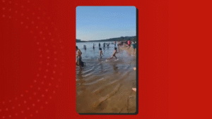 Leia mais sobre o artigo Ataque de piranhas deixou 7 feridos, entre eles bebê que perdeu parte de dedo em balneário no AM