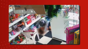 Leia mais sobre o artigo Homem é preso por suspeita de tentar matar ex-mulher e roubar loja no interior do AM