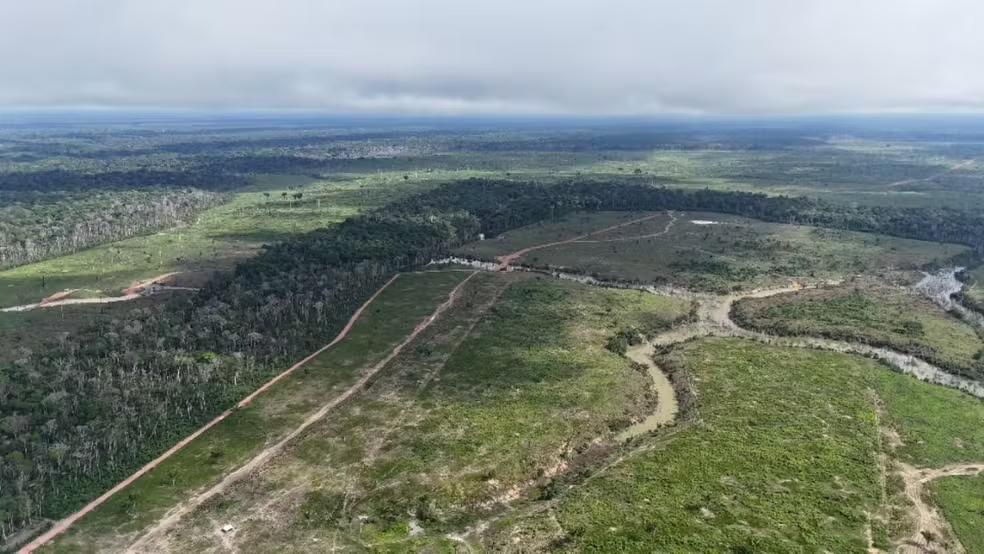 No momento, você está visualizando Maior desmatamento do ano no AM resulta em multa de R$ 24,3 milhões, diz Ipaam