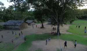Leia mais sobre o artigo Áreas protegidas na Amazônia Legal têm piores condições de moradia