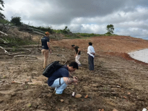 Leia mais sobre o artigo Seca do Rio Amazonas revela sítio arqueológico com vestígios pré-coloniais