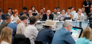 Leia mais sobre o artigo COP30: minuta do ‘Pacote de Belém’ exclui combustíveis fósseis e gera críticas