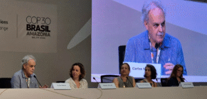 Leia mais sobre o artigo Degradação da Amazônia pode gerar duas pandemias por década, diz climatologista