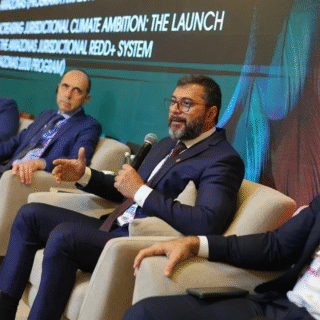 Justiça Federal suspende projetos de crédito de carbono do governo do AM