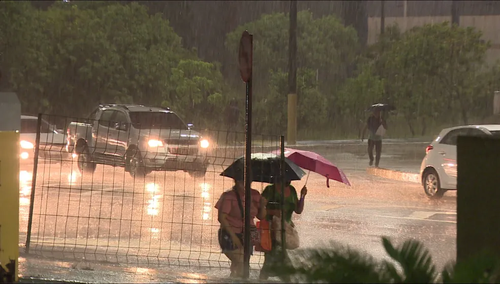 No momento, você está visualizando Manaus em estado de atenção por chuvas; saiba como pedir ajuda à Defesa Civil