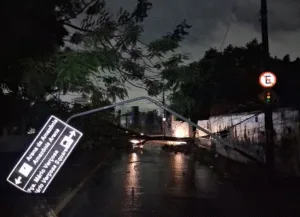 Leia mais sobre o artigo Chuva forte alaga ruas, derruba árvores e causa apagões em Manaus