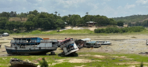 Leia mais sobre o artigo Amazônia pode alcançar estado climático nunca visto nos trópicos