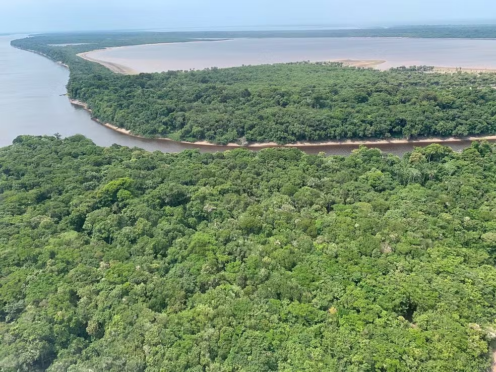 No momento, você está visualizando Nova lei de licenciamento ambiental ameaça Unidades de Conservação e a biodiversidade no AM, apontam especialistas
