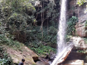 Leia mais sobre o artigo Caso do Pico Paraná vira alerta para turistas e guia dá dicas para quem busca trilhas no Amazonas