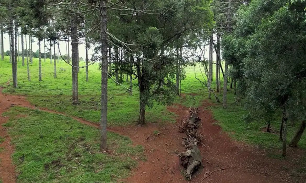 No momento, você está visualizando Produção inédita resgata histórico Caminho do Peabiru na TV Brasil