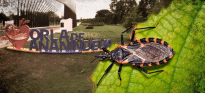 Leia mais sobre o artigo Cidade do Pará registra quatro mortes por Doença de Chagas em menos de um mês