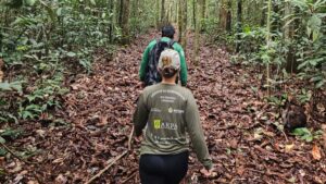 Leia mais sobre o artigo Sema instala câmeras trap em Unidades de Conservação da BR-319 para fortalecer monitoramento da fauna