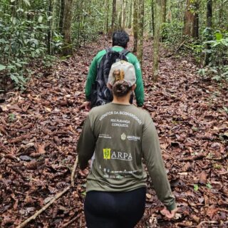 Sema instala câmeras trap em Unidades de Conservação da BR-319 para fortalecer monitoramento da fauna