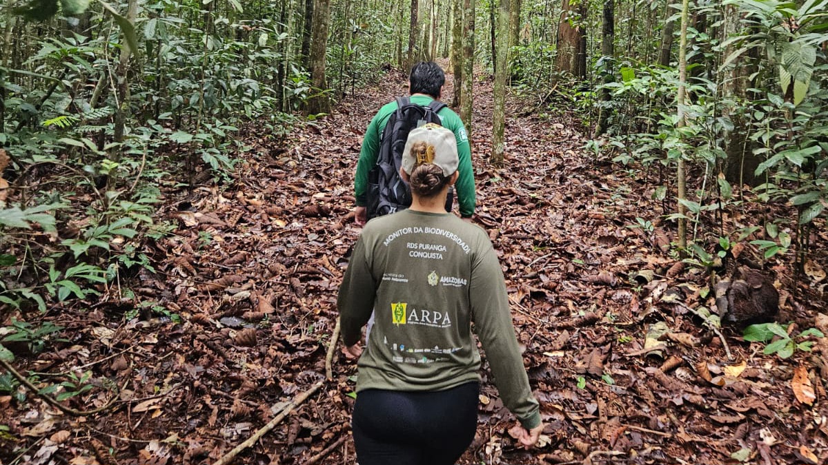 No momento, você está visualizando Sema instala câmeras trap em Unidades de Conservação da BR-319 para fortalecer monitoramento da fauna