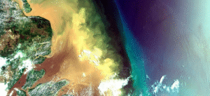 Leia mais sobre o artigo Ibama multa Petrobras em R$ 2,5 milhões por vazamento de fluido na Foz do Amazonas