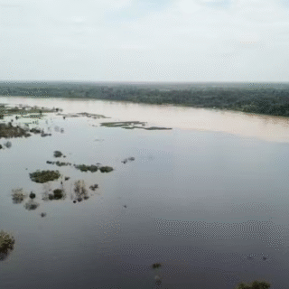 Cheia dos rios coloca Eirunepé em emergência e 11 cidades em alerta no Amazonas