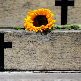 Caso de Itumbiara acende alerta para violência vicária; entenda