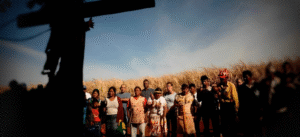 Leia mais sobre o artigo Amazônia concentra quase metade dos conflitos no campo do País