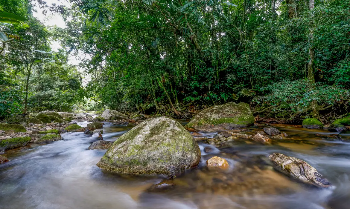 No momento, você está visualizando Plano busca fortalecer Sistema Nacional do Meio Ambiente até 2036