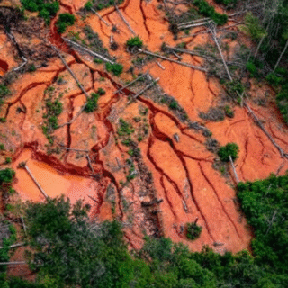 GT do Senado discute propostas para regulamentar mineração em terras indígenas