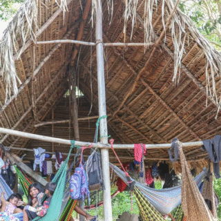 Povo Parakanã, do Pará, reocupa território após retirada de invasores 