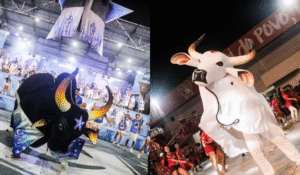 Leia mais sobre o artigo Caprichoso e Garantido preparam ‘mini festival’ para lançamento do 59º Festival Folclórico em Parintins