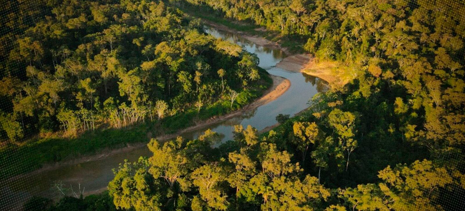 No momento, você está visualizando STF barra lei que permitia privatizar florestas públicas no Acre