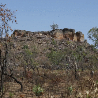Pesquisa com IA identifica terras agrícolas abandonadas no Cerrado