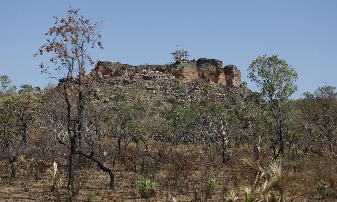 No momento, você está visualizando Pesquisa com IA identifica terras agrícolas abandonadas no Cerrado