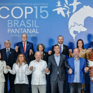 Brasil reforça proteção ambiental com novas áreas de conservação