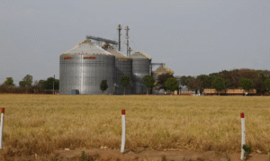 Leia mais sobre o artigo Brasil tem sexto maior crescimento no ranking das economias do G20