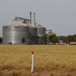 Brasil tem sexto maior crescimento no ranking das economias do G20