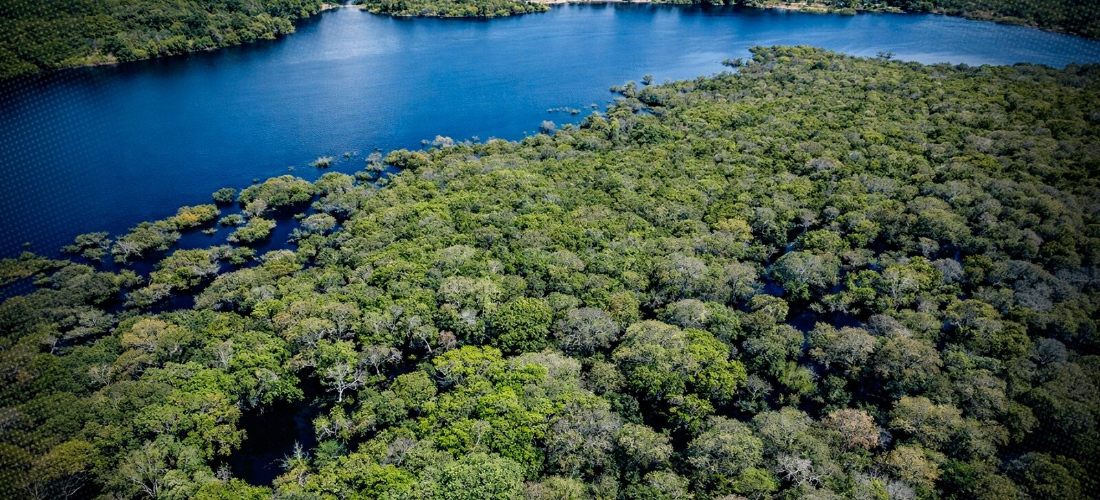 No momento, você está visualizando Amazônia tem menor desmatamento dos últimos sete anos no semestre