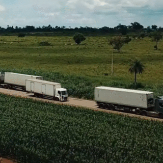 Setor de Serviços atinge topo histórico com leve alta em fevereiro