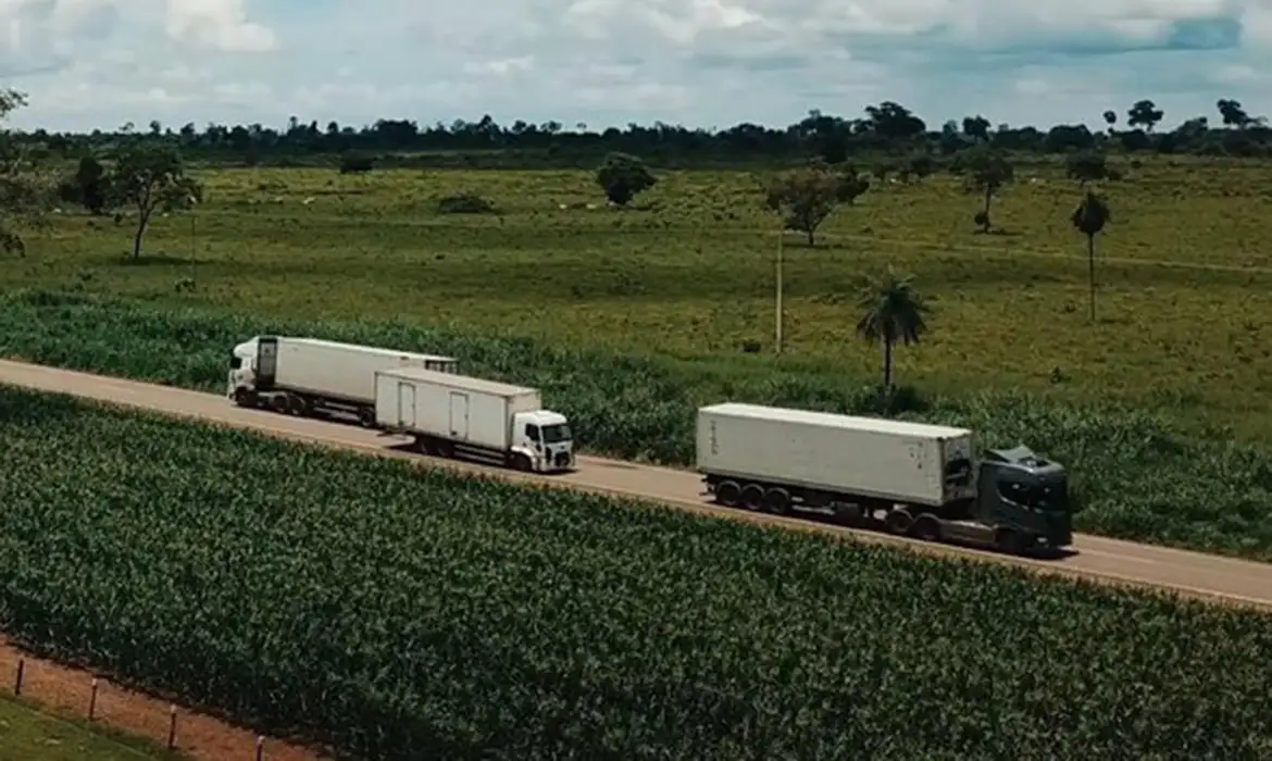 Setor de Serviços atinge topo histórico com leve alta em fevereiro