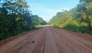Leia mais sobre o artigo Justiça Federal trava licitações de R$ 678 milhões na BR-319 por suspeita de fraude ambiental