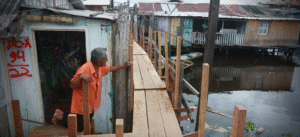 Leia mais sobre o artigo Amazonas alerta para riscos sanitários com avanço da cheia