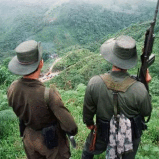 Aliança Transnacional: Dissidentes das Farc e Facções Brasileiras Unem Forças na Amazônia