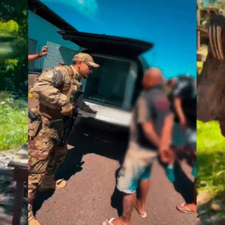 Combate à exploração animal no AM: Quatro são detidos por manter animais silvestres em cativeiro para fotos com turistas