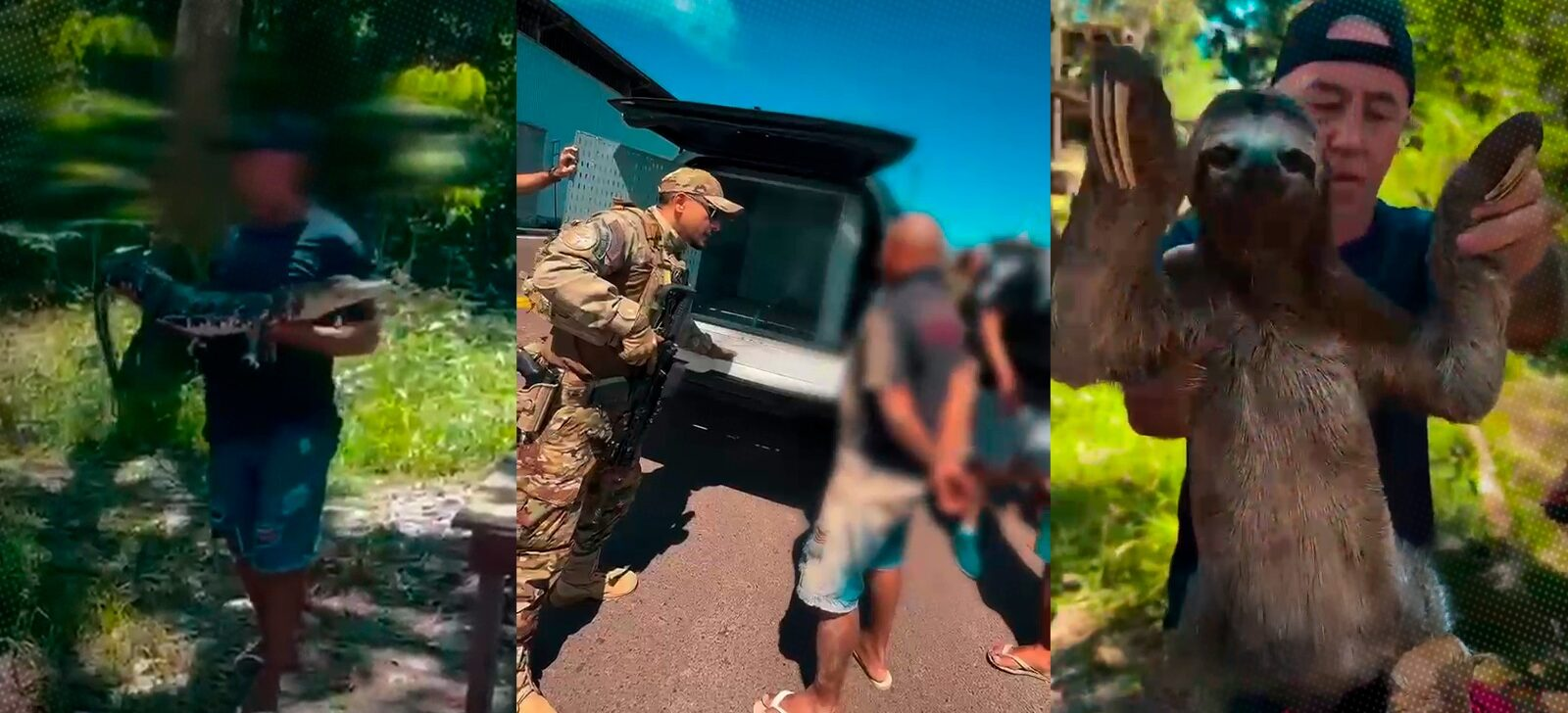 No momento, você está visualizando Combate à exploração animal no AM: Quatro são detidos por manter animais silvestres em cativeiro para fotos com turistas