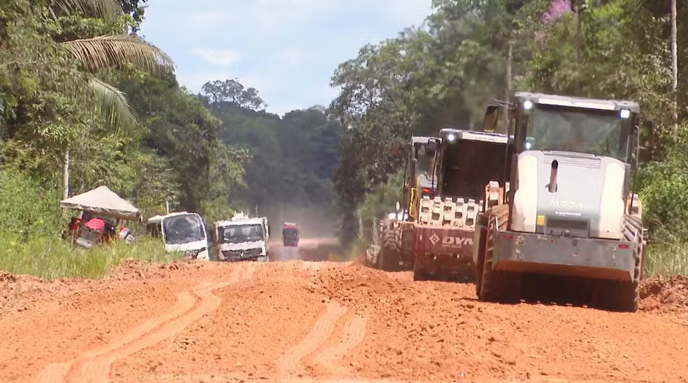 No momento, você está visualizando Cicatrizes na Floresta: A Luta pela Sobrevivência no Eixo da BR-319