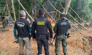 Leia mais sobre o artigo Ofensiva na Amazônia: Operação Calha Norte sufoca logística do garimpo ilegal na divisa AP/PA